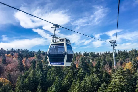 Kerala Wayanad Tour Packages