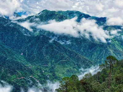 Kerala Wayanad Tour Packages